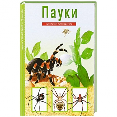 Книги, книга Пауки. Школьный путеводитель заказать