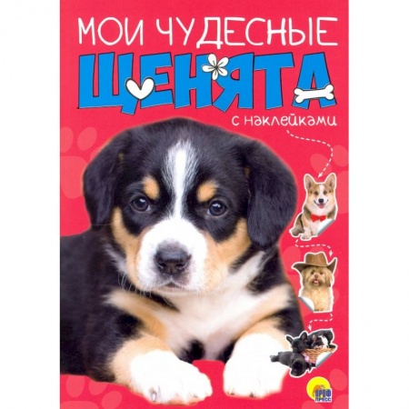 Конструирование из бумаги, книга БРОШЮРА С НАКЛЕЙКАМИ. МОИ ЧУДЕСНЫЕ ЩЕНЯТА заказать