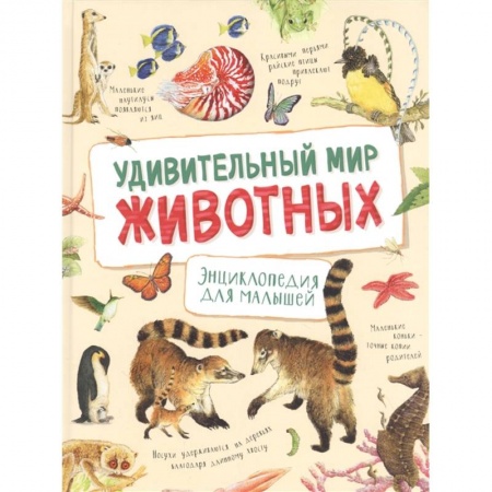 Животный и растительный мир, книга Удивительный мир животных. Энциклопедия для малышей. Ренне заказать