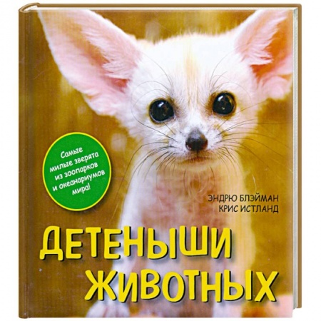 Книги, книга Детеныши животных заказать