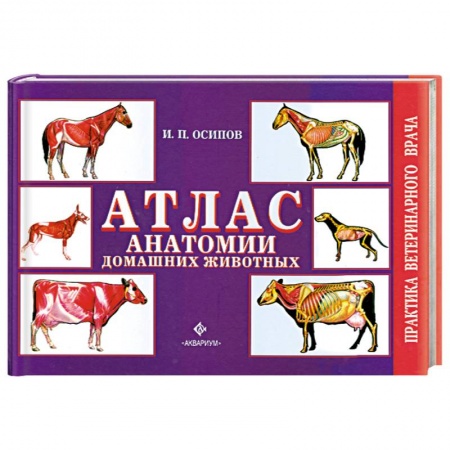 Книги, книга Атлас анатомии домашних животных заказать