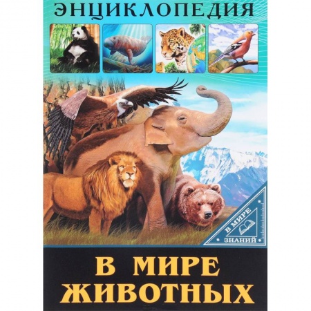 Животный и растительный мир, книга В мире животных заказать
