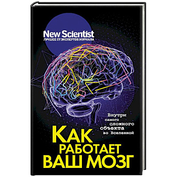 Как работает ваш мозг