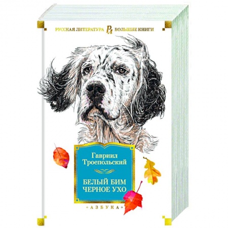 Классическая художественная проза, книга Белый Бим Черное ухо заказать