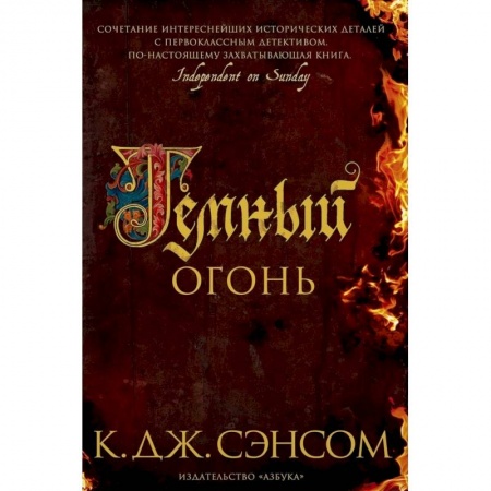 Историческая зарубежная проза, книга Темный огонь заказать