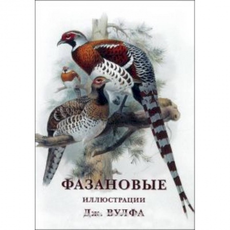 Книги, книга Фазановые (набор из 15 открыток) заказать