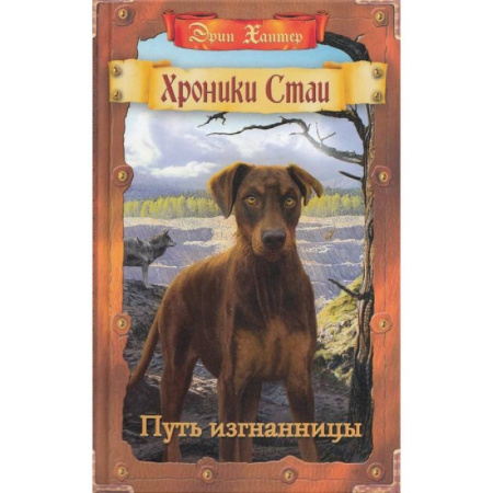 Мистика. Фантастика. Фэнтези, книга Путь изгнанницы заказать