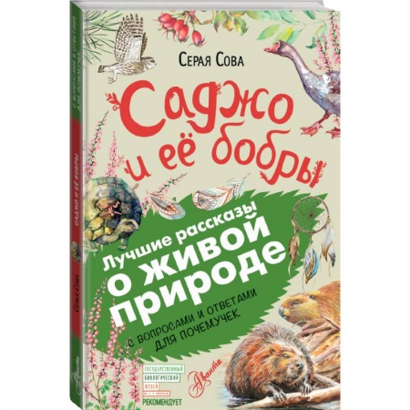 Познавательная литература, книга Саджо и её бобры заказать