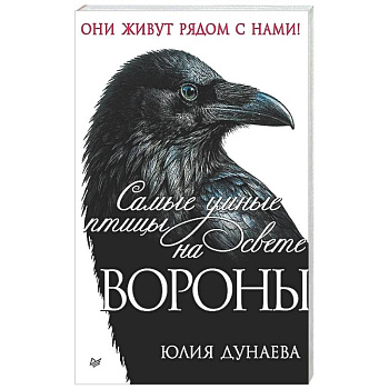 Самые умные птицы на свете. Вороны