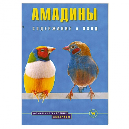 Книги, книга Амадины заказать
