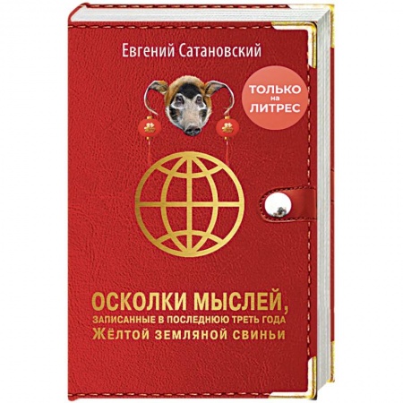 Общество, книга Осколки мыслей, записанные в последнюю треть года Желтой Земляной Свиньи заказать