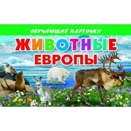Книги, книга Карточки. Животные Европы заказать