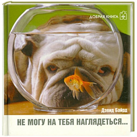 Книги, книга Не могу на тебя наглядеться… заказать