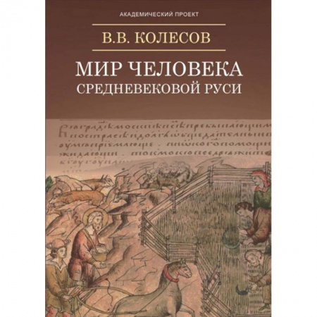 Филологические науки в целом. Частные филологии, книга Мир человека средневековой Руси заказать