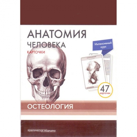 Медицинские энциклопедии и справочники, книга Анатомия человека. Остеология (47 карточек) заказать