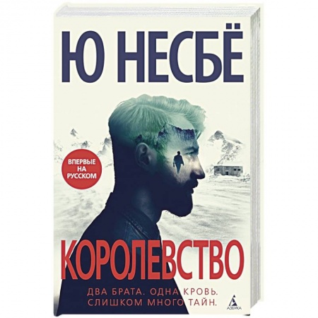 Зарубежный детектив, книга Королевство заказать