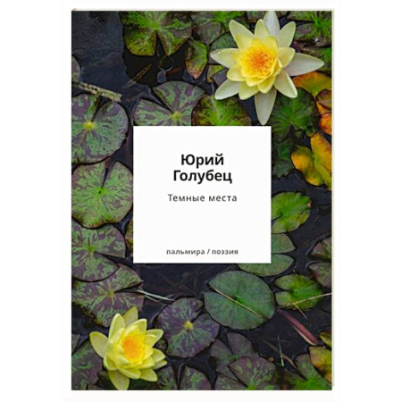 Русская поэзия, книга Темные места. Вторая книга песен заказать