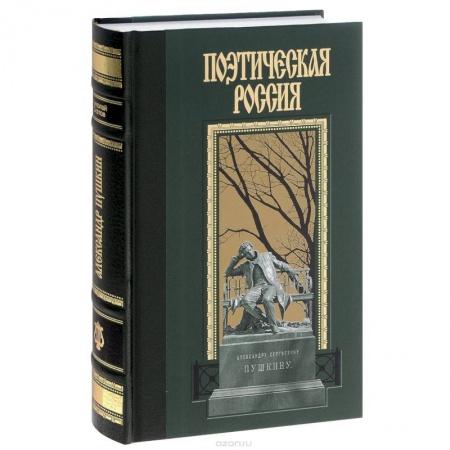 Мемуары, биографии деятелей культуры, искусства, книга Александр Пушкин заказать