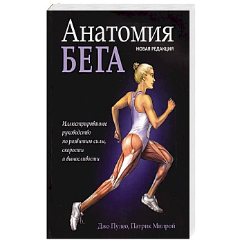 Анатомия бега