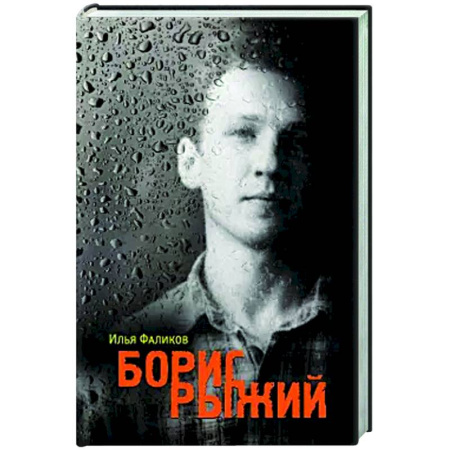 Мемуары, биографии деятелей культуры, искусства, книга Борис Рыжий. Дивий камень заказать