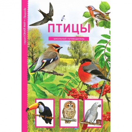Книги, книга Птицы. Школьный путеводитель заказать