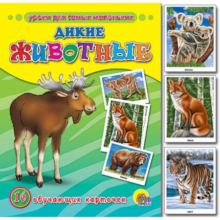 Книги, книга Обучающие карточки. Дикие животные заказать
