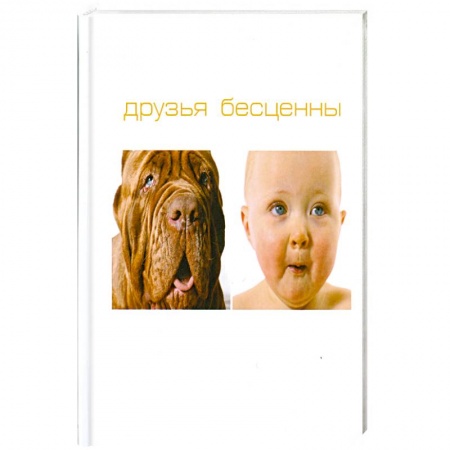 Книги, книга Друзья бесценны заказать