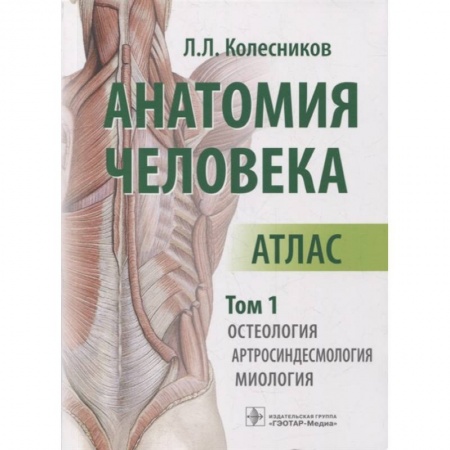 Другие виды специальной медицины, книга Анатомия человека. Атлас. Том 1: Остеология заказать