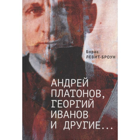 Литературоведение, книга Андрей Платонов, Георгий Иванов и другие... Очерки, эссе,этюды заказать