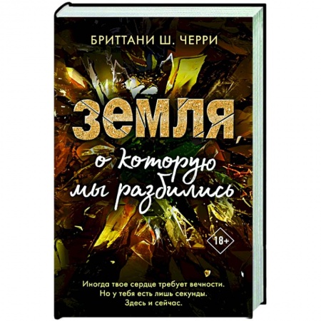 Зарубежный любовный роман, книга Земля, о которую мы разбились заказать