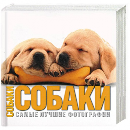 Книги, книга Собаки. Самые лучшие фотографии заказать