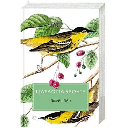 Зарубежная классика, книга Джейн Эйр заказать