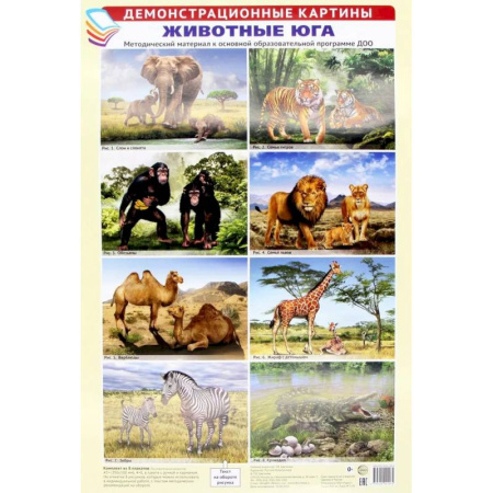 Животный и растительный мир, книга Демонстрационные картины А3. Животные Юга (8 плакатов) заказать