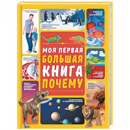 Все обо всем. Универсальные энциклопедии, книга Моя первая большая книга ПОЧЕМУ заказать