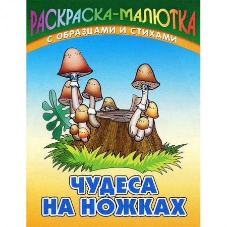 Книги, книга Чудеса на ножках (с образцами и стихами) заказать