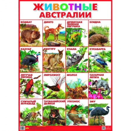 Книги, книга Плакат. Животные Австралии (550х770) заказать