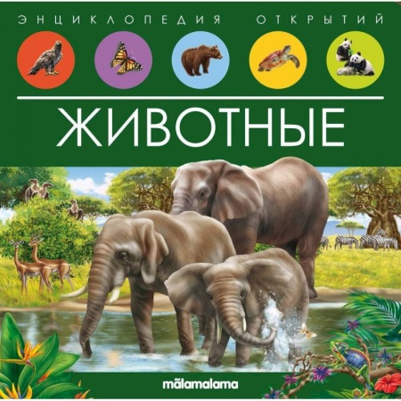 Книжки-раскладушки, панорамки, книга Животные. Книжка-панорамка заказать