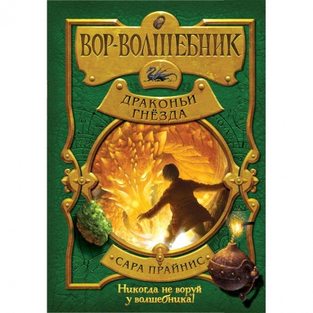 Мистика. Фантастика. Фэнтези, книга Вор-волшебник. Драконьи гнёзда заказать