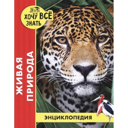 Животный и растительный мир, книга Хочу все знать. Живая природа заказать