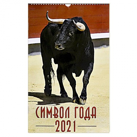Книги, книга 2021 Календарь на спирали Символ года 2 заказать
