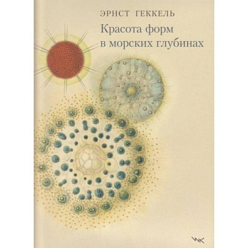 Красота форм в морских глубинах