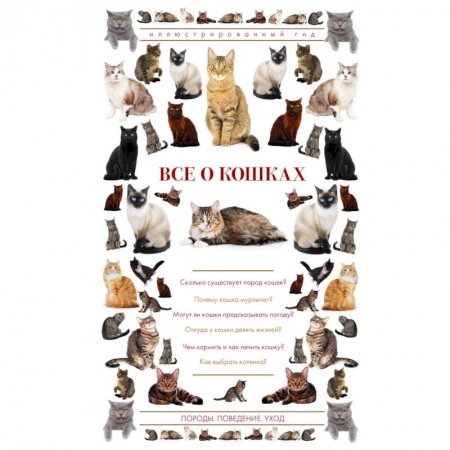 Кошки, книга Все о кошках. Иллюстрированный гид заказать
