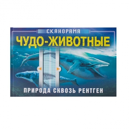 Окружающий мир, книга Чудо-животные заказать