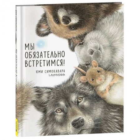 Приключения. Детективы, книга Мы обязательно встретимся! заказать