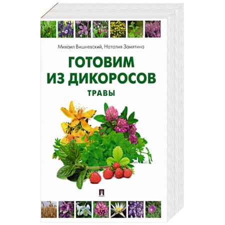 Вегетарианская кухня, книга Готовим из дикоросов. Травы заказать