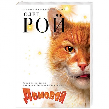 Отечественный любовный роман, книга Домовой заказать