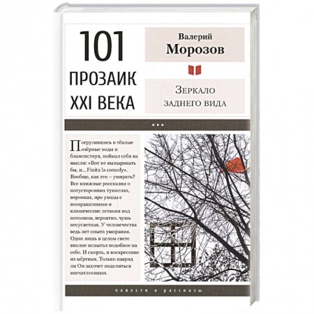 Русская современная проза, книга Зеркало заднего вида заказать