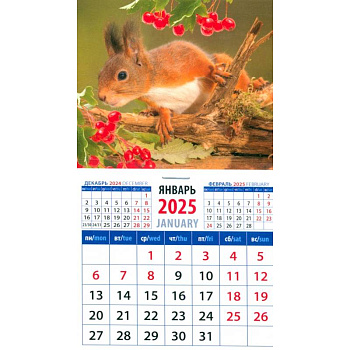 Календарь на магните на 2025 год Бельчонок Календарь на магните на 2025 год Бельчонок