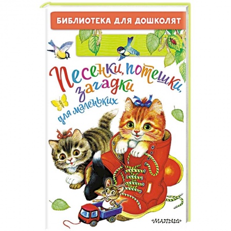 Песенки, потешки, книга Песенки, потешки, загадки для маленьких заказать