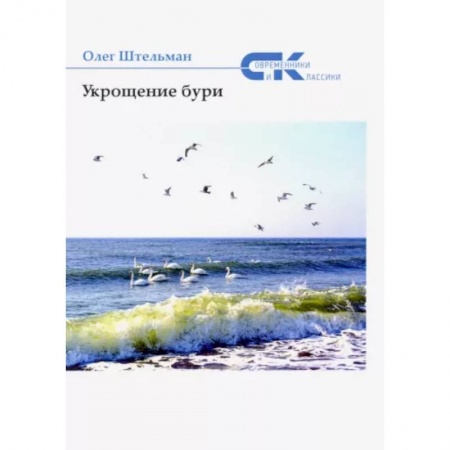 Русская современная проза, книга Укрощение бури заказать